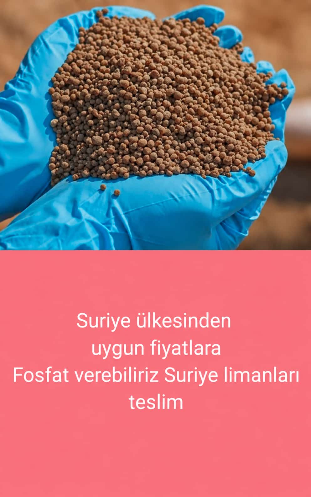 Suriye Limanları Teslim Fosfat