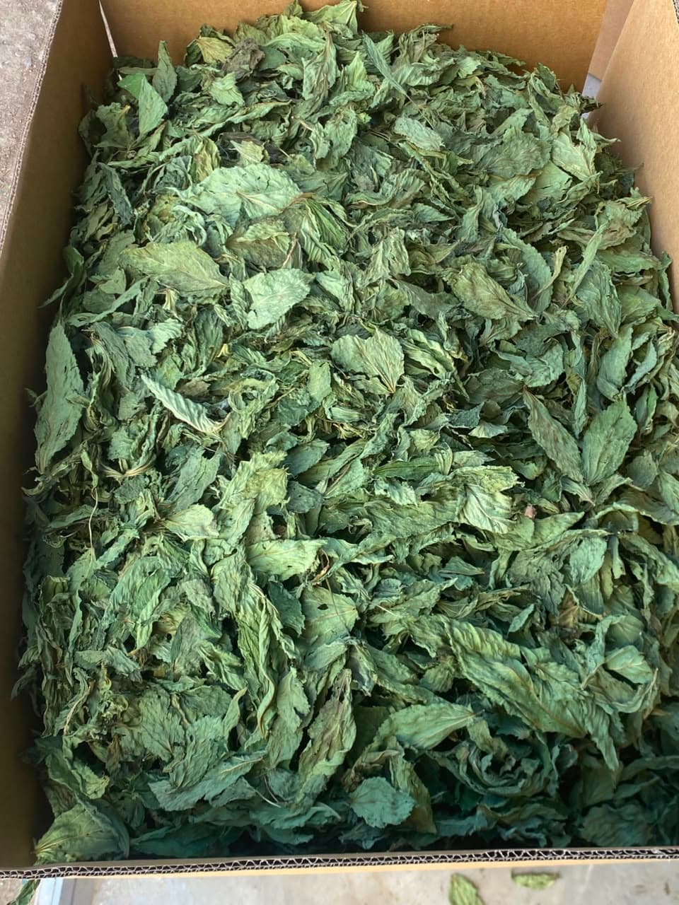 Dried molokhia
