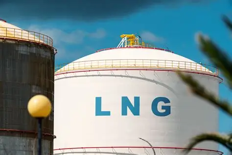 LNG Satışımız vardır