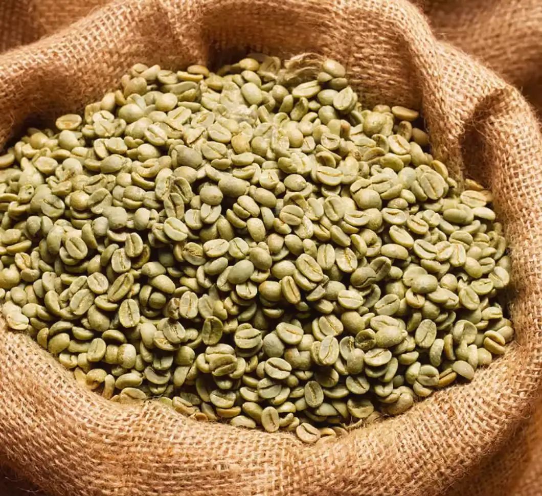 Etihopya menşeli Arabica Kahve Çekirdeği